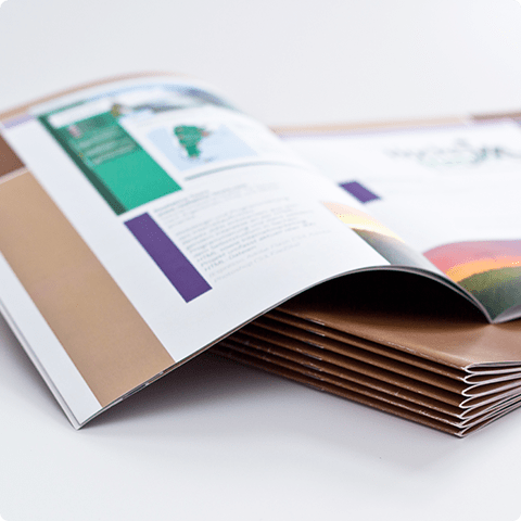 写真:パンフレットイメージ